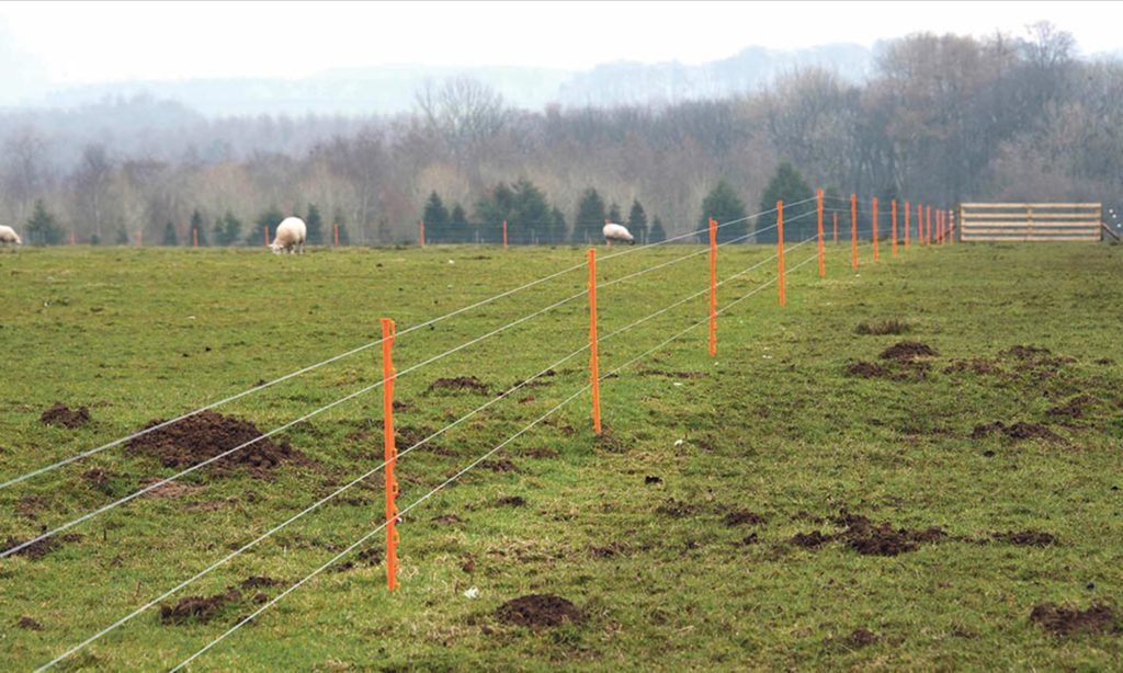 Electric Fence Wire Winder - Sheep in Fence